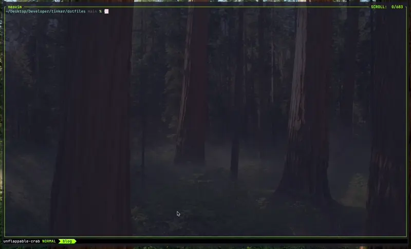 Animation cursor